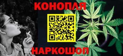 сатива Краснознаменск