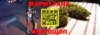 сатива Краснознаменск
