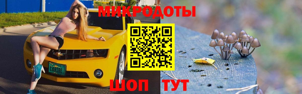 Галлюциногенные грибы MAGIC MUSHROOMS  Вход с VPN  Феодосия 